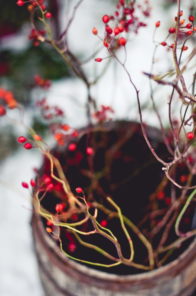 Winter Berries Wedding Shoot