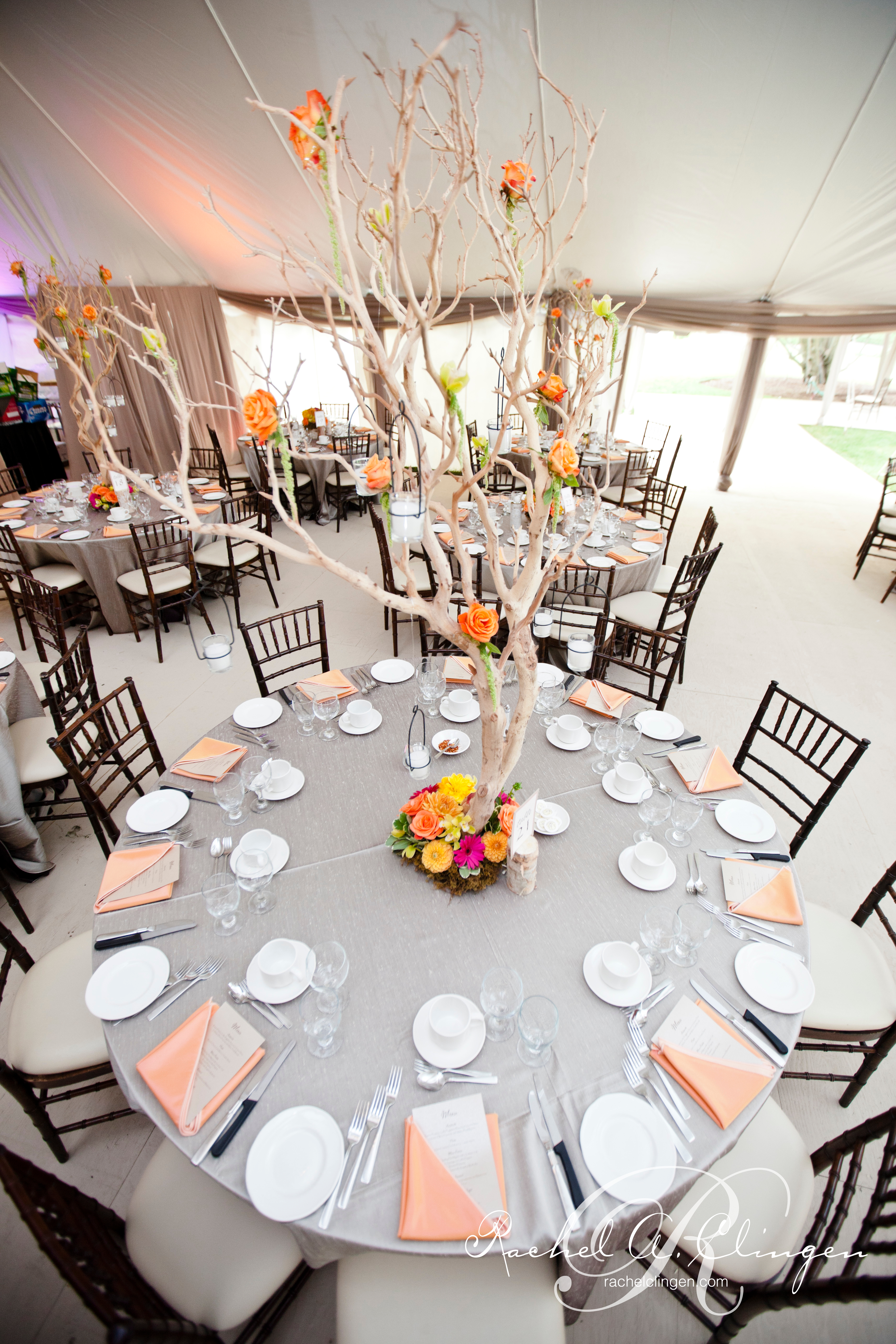 Tent Weddings Toronto Hamilton