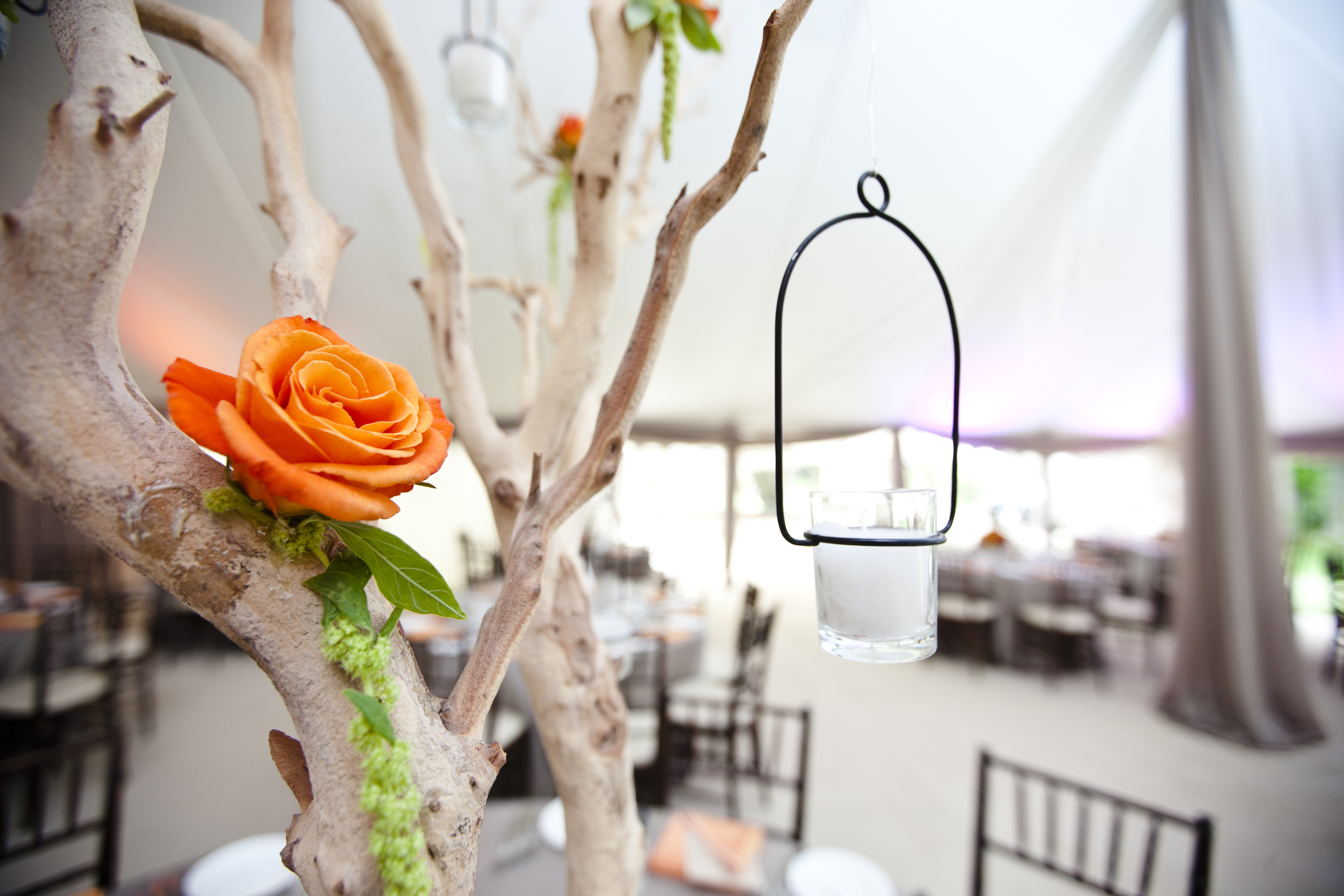 Wedding Decorations Toronto