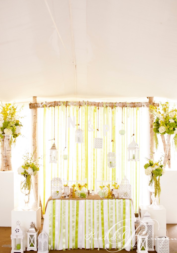 Wedding Backdrops Muskoka By Rachel A. Clingen Ribbon Backdrop