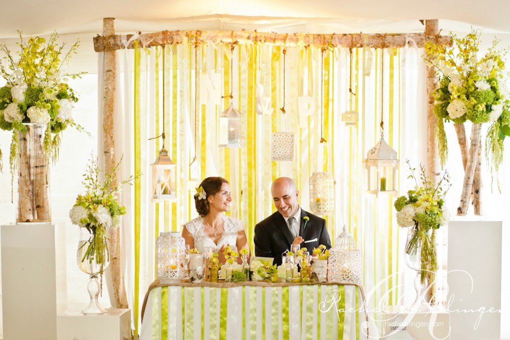 Birch Muskoka Wedding Backdrops Ribbon Backdrop