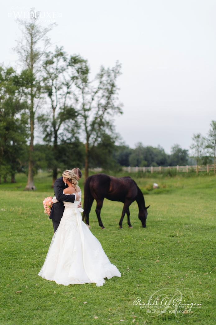 Horse Wedding Ontario