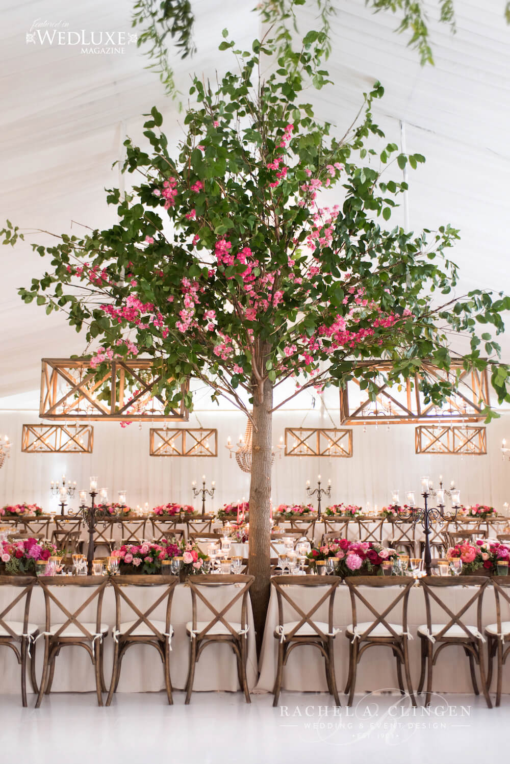 rachel-a-clingen-muskoka-tent-wedding-tree