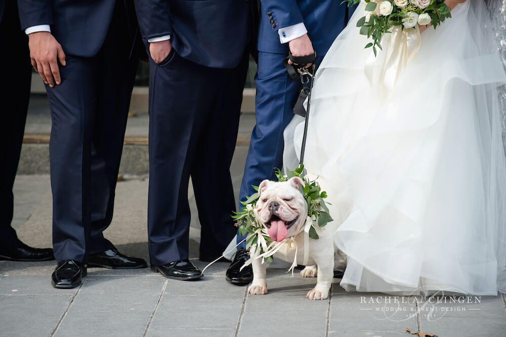 dog-wedding-flowers