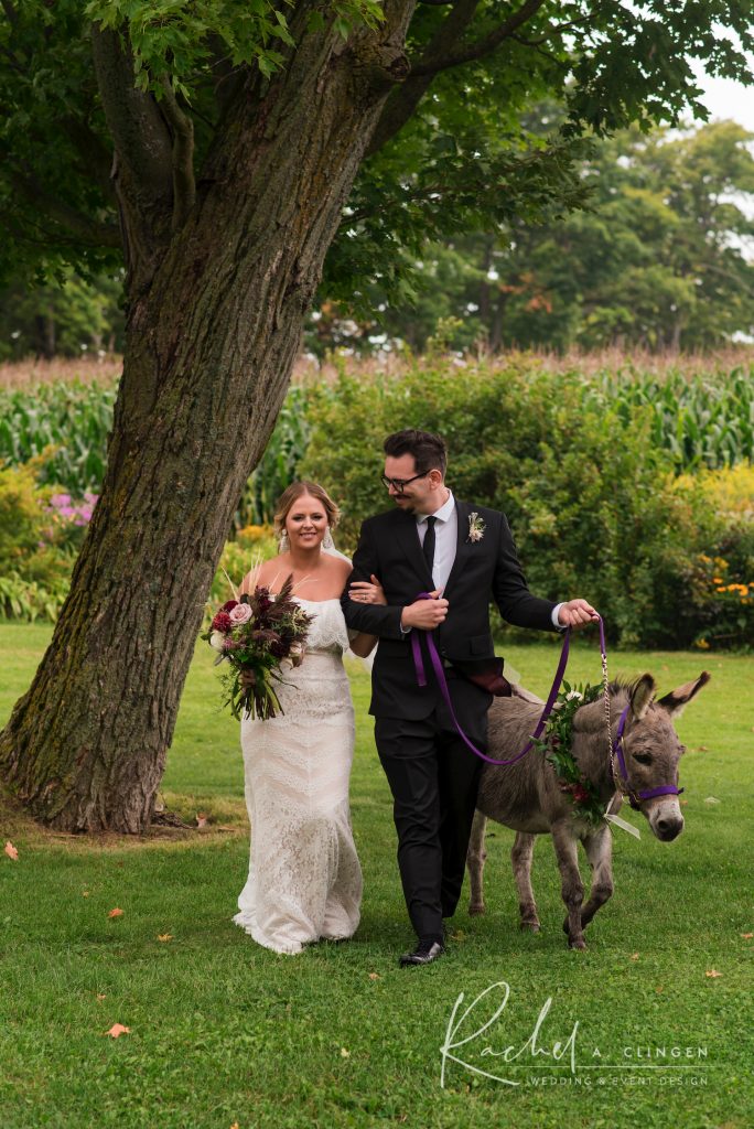 lexi richard donkey weddings