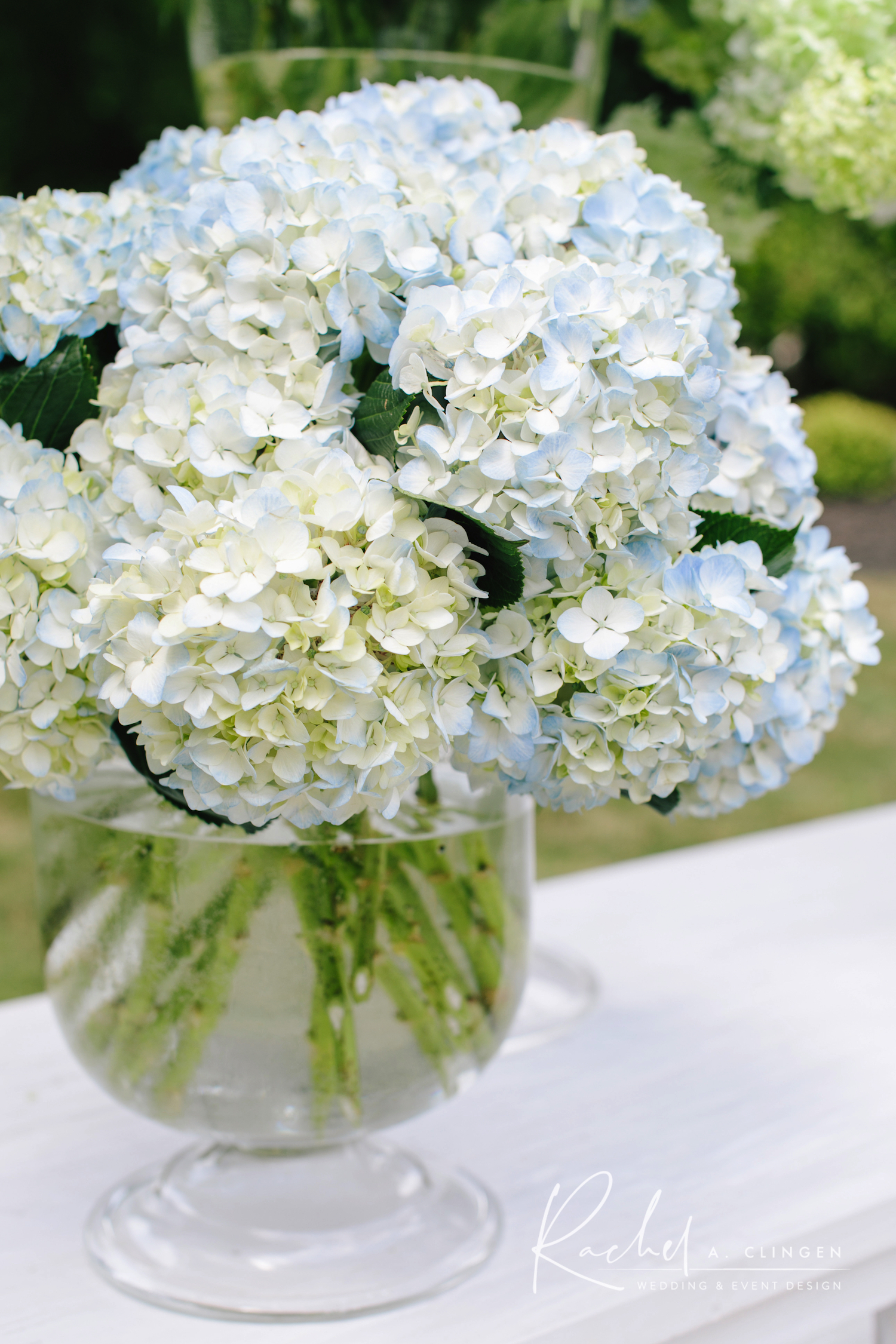 hydrangeas wedding flowers