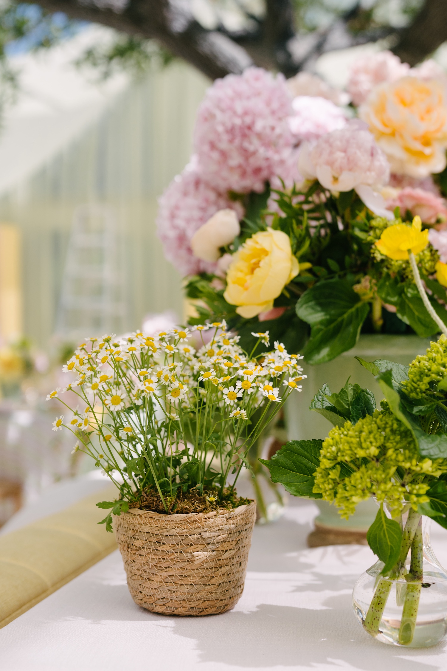 Victoria Clingen's Baby Shower