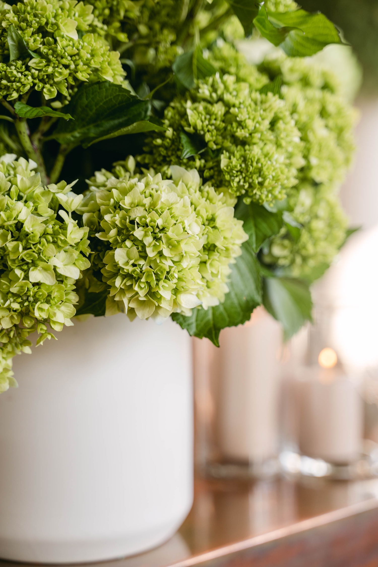green hydrangeas flowers