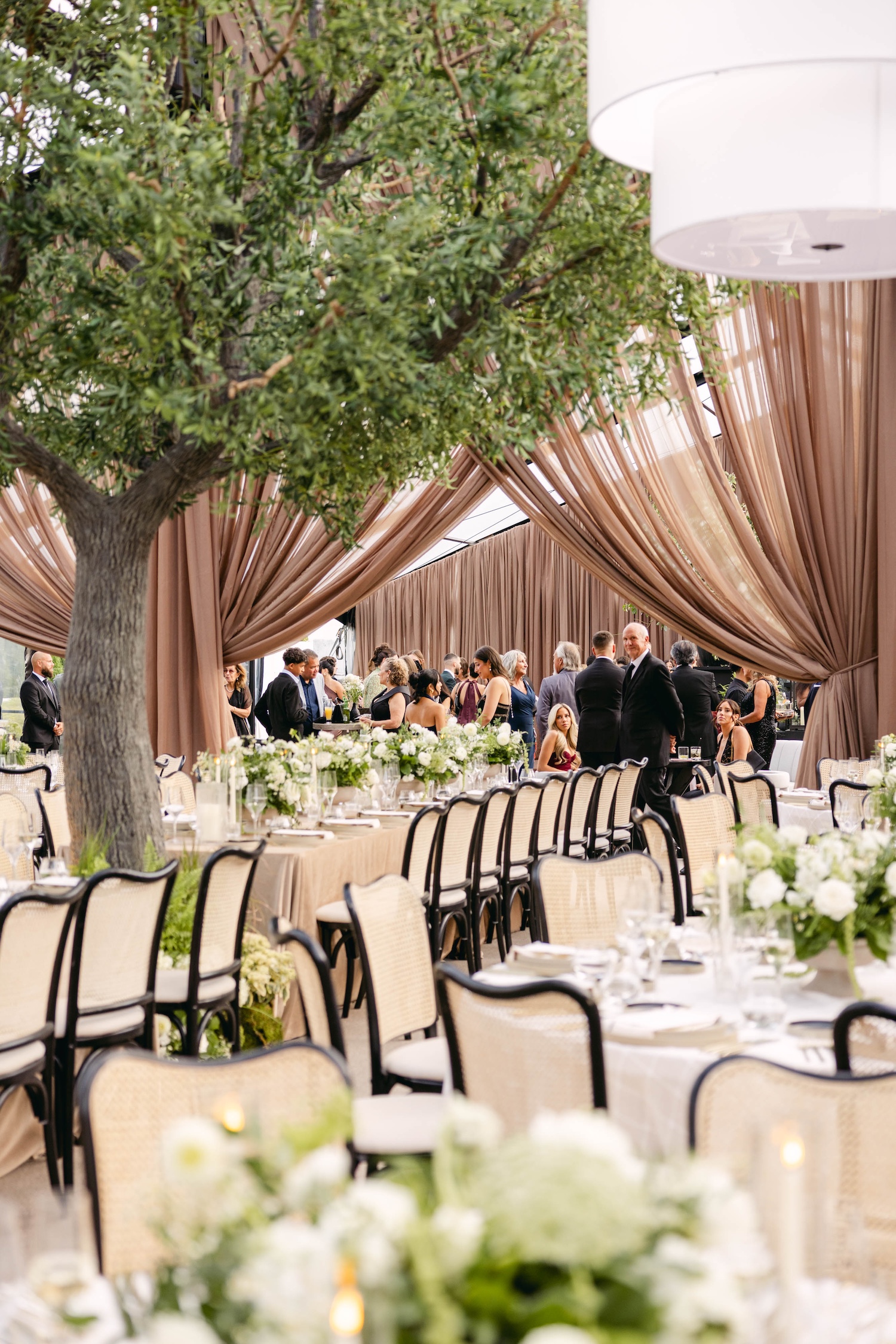 tent wedding reception trees